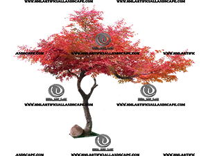 MAPLE TREE