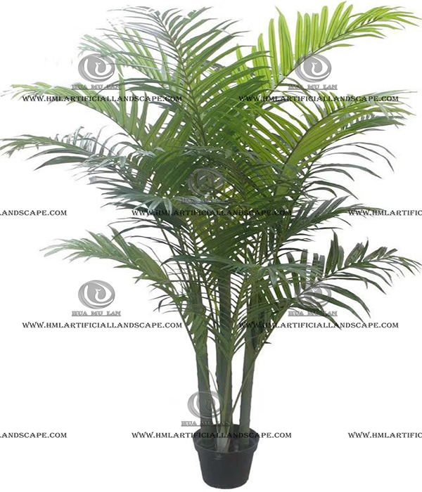 ARECA PALM