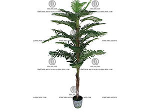 ARECA PALM 
