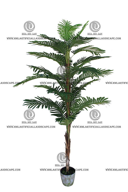 ARECA PALM