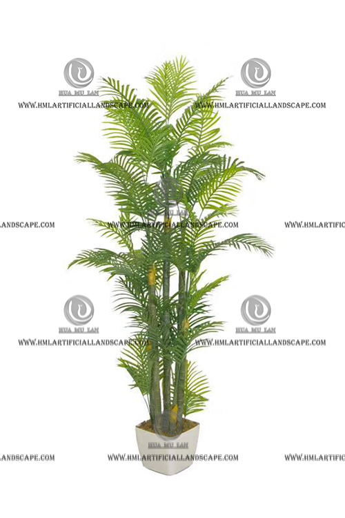 ARECA PALM