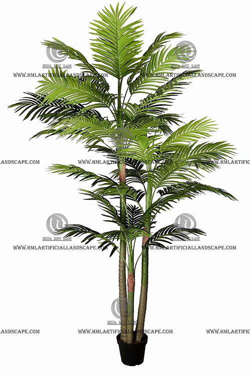 ARECA PALM