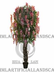 BEAN FLOWER TREE