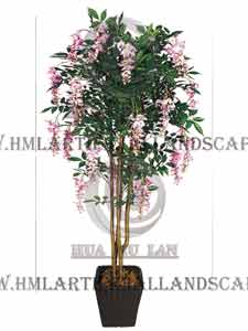 BEAN FLOWER TREE