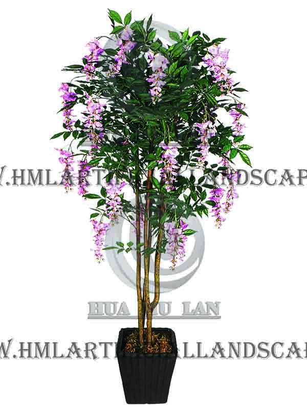 BEAN FLOWER TREE